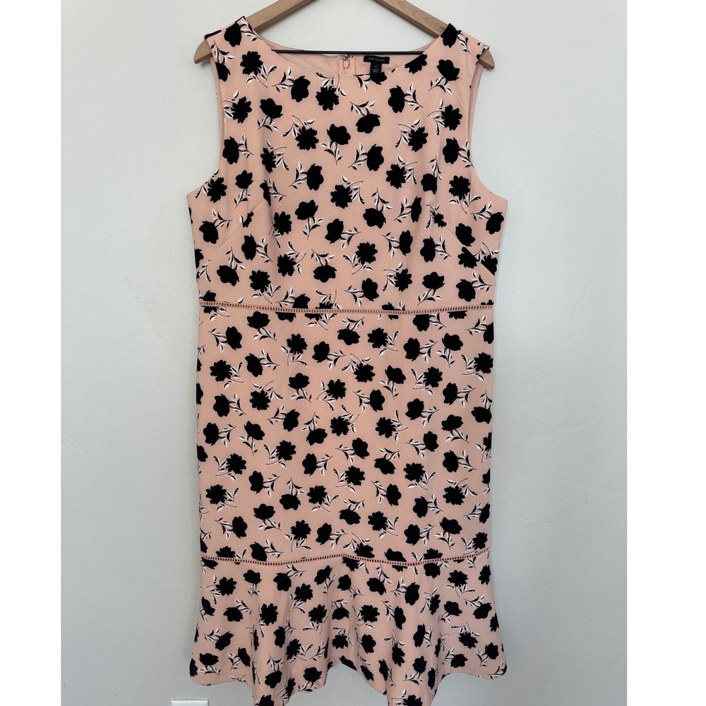 Ann Taylor Floral Flounce Hem Sleeveless Dress Blush Black Plus Size 16 NWT